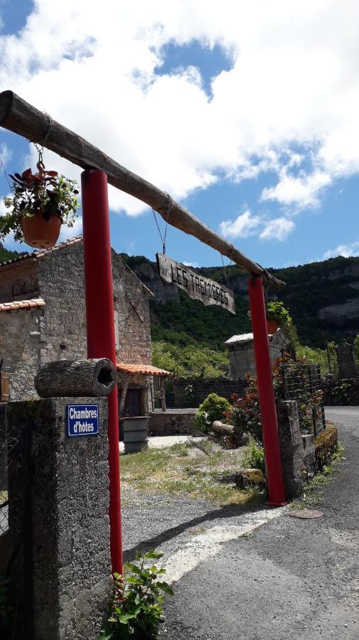 Bed and Breakfast Les Tremieres Saint-Paul-des-Fonts Exterior foto